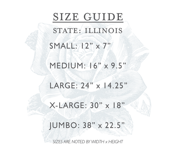 Illinois | State Cutout